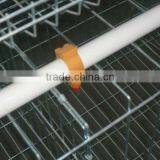 Chicken Water Drinkers