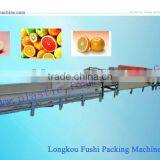 Fruit Cleaning and Waxing Machine thumbnail-1
