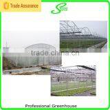 Hot Selling Commercial Used Greenhouse for Sale thumbnail-5