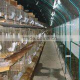 250mm Film Covered Automatic Vents System Sheds For Animals Growing thumbnail-1