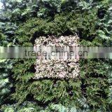 SOL 2015 NEW DESIGN Vertical Green Green Wall Planter Plastic Green Wall Planter thumbnail-2