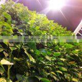 Home and Outdoor Decoration Synthetic Cheap Artificial Vertical Green Grass Wall E08 04Q85 thumbnail-3