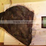 Greenland Halibut Fish Head thumbnail-5