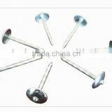 ROOFING NAILS WITH UMBRELLA HEAD thumbnail-1