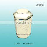 Speical Shape Tea Container thumbnail-1