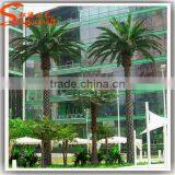 Hot Sale Artificial Outdoor Date Palm Trees Fiberglass 6 Meter for Palm Tree Wedding Decorations Tree thumbnail-3