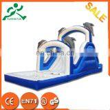 Hight quality 0.55mm PVC inflatable swimming pool slide,inflatable water slide, inflatable jumping slide