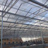 PC Hollow Sheet Multispan Commercial Greenhouse for Agriculture thumbnail-2