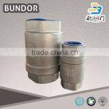 Vertical Lift Female Thread Ductile Iron Check Valve Spring Loaded Check Valve thumbnail-4