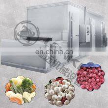 LONKIA Factory Price Individual Iqf Fast Freezing Meat Liquid Nitrogen Quick Freezing Machine