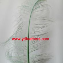 Burnt Ostrich Plume Feather Dyed Green from China