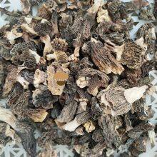 Dehydrated Dried Morel Mushroom Morchella Esculenta Conica thumbnail-2