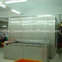 Mesh Belt Tunnel Freezer for Shrimp, Poultry, Meat, Pastry, Pasta, French Fries thumbnail-2