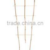 Bamboo Fan Trellis thumbnail-1