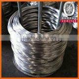 Spring Stainless Steel Wire With Top Quality for Chicken Wire thumbnail-1
