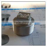 DIN2999 ANSI316 Stainless Steel Square Plug Fittings
