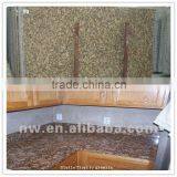 Polished Giallo Fiorito Granite Slab,kitchen Countertop,stone Paving