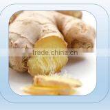 China Ginger for Sale / Ginger Price thumbnail-1