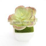 Artificial Plants Succulent Plant Type and PE Foam Material Mini Artificial Plants thumbnail-1