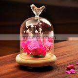 Glass Bell Dome With Wood thumbnail-3