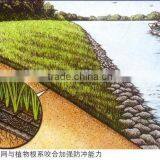 Erosion Control Mat 3D Geomat For Construction thumbnail-6