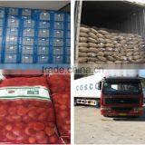 Bulk High Quality Fresh Green Dandong Chestnuts for Sale thumbnail-6