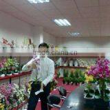 Shenzhen LeehomFC Flower Co., Ltd. company overview - view 3 thumbnail