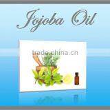 Hot Sale Product of Jojoba Oil thumbnail-1