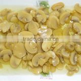 Fresh Canned Mushroom Slices for Hot Selling