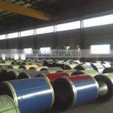 Print/Desinged Prepainted Galvanized Steel Coil / PPGI /PPGL thumbnail-6