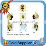 Human Histological Oral Slides Pathological Prepared Slides thumbnail-5