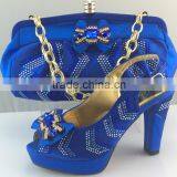 Charming Ladies Shoes and Matching Bag for Party