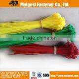 Supply All Kinds of Sizes Plastic Nylon Colored Pvc Cable Ties thumbnail-4