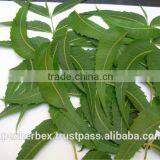 Azardiractha Indica / Neem Cake / Neem Deoiled Cake thumbnail-3