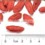 Dried Goji Berry thumbnail-1