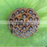 Nelumbo Nucifera Gaertn Lotus Nut Lotus Seeds thumbnail-4