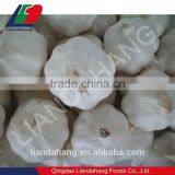 Certified GAP/ KOSHER/ HALAL New Crop Normal White Garlic thumbnail-1
