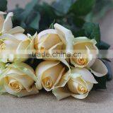 Export Quality Fresh Cut Rose Flowers From Plants Base thumbnail-2