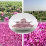 2016 Fresh Lotus Bee Pollen Selected Bee Pollen Prices