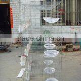 Galvanized Pigeon Breeding Cage For Poultry Farms thumbnail-4