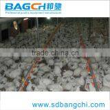 Ready Sale Chicken Farming Materials/Equipment for Poultry thumbnail-4