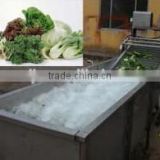 Leaf Vegetable Spinach /Arugula /Lettuce Washing Machine