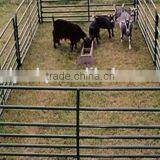 China Cattle Panels/horse Yard Panels, Corral Panel Yards,cattel Panel Fencing thumbnail-6