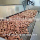 ALMOND ROASTING MACHINE (Model: EVRO 3000) thumbnail-3