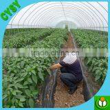 Agriculture & Horticulture Best Farm's Plastic Mulch Film. thumbnail-5
