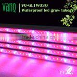 High Umol Led Grow Light Tube Led for Lettuce Hydroponic Vertical Farm 30w Waterproof thumbnail-3