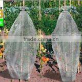 PE Garden UseTomato Tube Green House Packing in Bag thumbnail-4