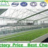 Commercial Metalic Greenhouse thumbnail-1