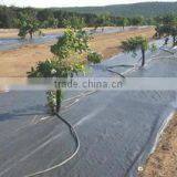 Tree Weed Mat Fabric thumbnail-2