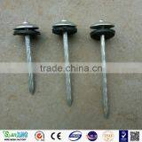 Antirust/Strong/electro Galvanized Umbrella Head Roofing Nails With Twist Shank thumbnail-1